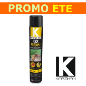 Insecticide Choc Frelons 