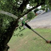 Scie à Elaguer Manuelle ou Pour Perche Télescopique - Lame 38 cm - "Ribimex"