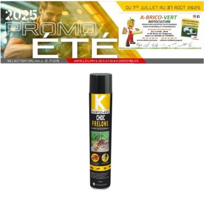 Insecticide Choc Frelons 