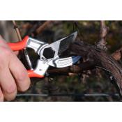 Sécateur Pro - 21 cm - "Universale - Castellari"