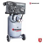 Compresseur 100L 3CV 230V courroie