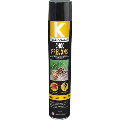 Insecticide Choc Frelons 