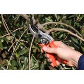 Sécateur Pro - 19 cm - Spéciale Petites Mains - "Castellari"
